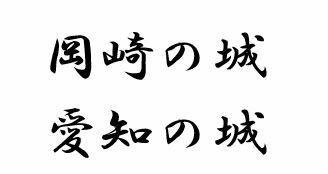 岡崎の城　愛知の城